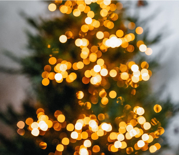 Finding the Perfect Christmas Tree: A Guide to 9ft and 3ft Trees